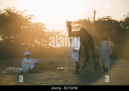Pushkar Camel Fair in Rajasthan, Indien ist einer der größten Tier Messen in der Welt Stockfoto