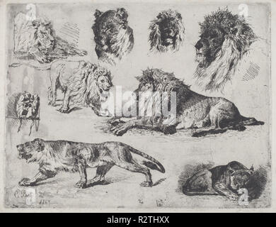 Studie der Löwen. Stand: 1867. Maße: Blatt: 27,4 × 37 cm (10 13/16 x 14 9/16 in.) Platte: 25,2 × 33 cm (9 15/16 x 13 in.). Medium: Radierung. Museum: Nationalgalerie, Washington DC. Autor: Cesare Biseo. Stockfoto