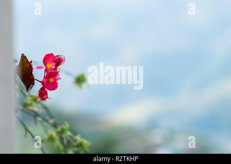Luftaufnahme von Sapa, Vietnam. Sapa ist ein Muss - Standorte besuchen Sie im Norden von Vietnam mit seiner kühlen Wetter und die schöne Szenen Stockfoto
