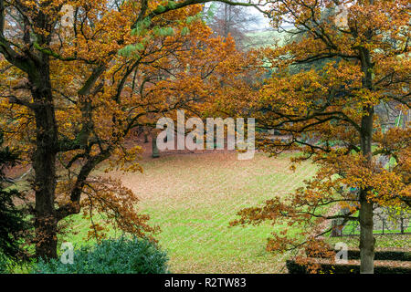 Rokokogarten, Herbst, Gloucestershire, VEREINIGTES KÖNIGREICH Stockfoto