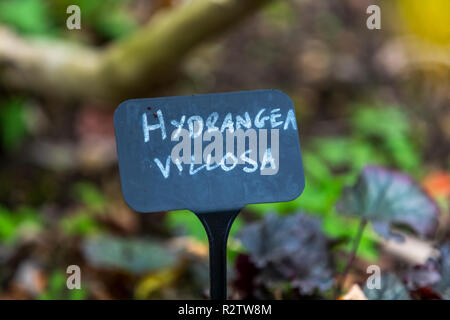 Rokokogarten, Herbst, Gloucestershire, VEREINIGTES KÖNIGREICH Stockfoto