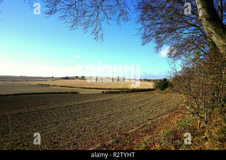 Ein Blick auf die Felder zwischen Lilley und Warden Hügel in Hertfordshire Stockfoto