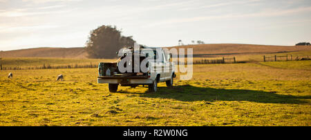 Pick-up-Truck auf einer Farm mit einem Geländewagen auf der Rückseite. Stockfoto