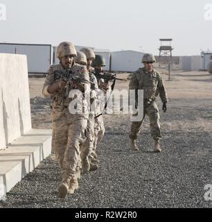 Die 155 gepanzerte Brigade Combat Team setzt regionale Stabilität durch Partnerschaften zu verbessern. Die 2Nd Battalion, 198Th Armored Regiment teamed oben mit den Kuwait Landstreitkräfte Institut eine grundlegende Officer Führer Kurs für fast 70 Kuwaitische Leutnants auf Lager Buehring, Kuwait zu führen. Stockfoto