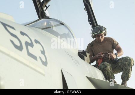 Aviation Machinist Mate 3. Klasse Erik Perales aus dem elektronischen Attack Squadron 135 (VAQ-135) "Schwarzen Raben" führt die Wartung eines EA-18G Growler, Oktober 30, 2018, Al Udeid Air Base, Katar. Die elektronische Kriegsführung Flugzeug hat die elektronischen Angriff, Blockierung, und Satelliten-kommunikation sowie Kommunikation Gegenmaßnahmen. VAQ-135 ersetzt VMAQ-2, die EA-6B Prowlers betrieben. VAQ-135 ist in den USA der 5. Flotte Bereich der Maßnahmen zur Unterstützung der Marine im Einsatz für die Stabilität und Sicherheit in der Region zu gewährleisten und verbindet das Mittelmeer und die Stockfoto