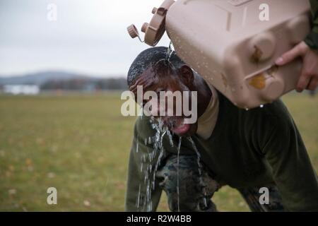 Us Marine mit 3Rd Battalion, 14th Marine Regiment spült seine Augen als Teil einer Dekontamination Station nach erfolgreichem Abschluss ein OC-spray Kurs an vaernes Air Station, Norwegen, Nov. 2, 2018. Der Kurs besteht aus Training auf Crowd Control Techniques, richtige OC-spray Verwendung und alle Teilnehmer haben Live OC Spray zu erhalten und einen körperlich anspruchsvollen Kurs, der Anwendung der Fertigkeiten, die Sie während der Schulung der Evolution gelernt. Nach dem erfolgreichen Abschluss des Kurses, die Marines erhalten eine Zertifizierung, die es Ihnen erlaubt, in der Lage zu sein OC Spray während des erforderlichen Zeiten zu verwenden. Stockfoto