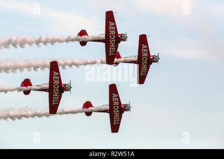 North American AT-6 Texans mit der aeroshell Aerobatic Team am Flügel über Homestead Luft- und Raumfahrtmesse im Homestead Air Reserve Base, Fla., Nov. 4, 2018 durchführen. Stockfoto