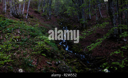 Landschaft von Bitola Nationalpark mit Berg in der EHEMALIGEN JUGOSLAWISCHEN REPUBLIK MAZEDONIEN Stockfoto
