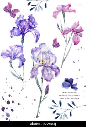 Aquarell Abbildung mit Iris. Malerei frisch zubereitet Blumen auf weißem Hintergrund Geschenkkarte Blumen Shop. Stockfoto