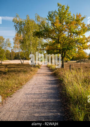 Sandigen weg im Naturschutzgebiet Boberger Niederung in Hamburg, Deutschland. Stockfoto