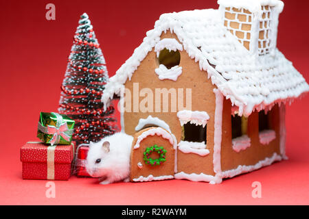 Cute Hamster in der Nähe seiner cookie Haus gefunden Geschenke Weihnachten Baum Stockfoto