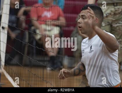 Spc. Manuel Galvan spielt Verteidigung im Netz während der Sitzung Volleyball an der 2018 Pacific Regional Versuche auf Schofield Kasernen, Hawaii. Diese Wettbewerbe statt, die im November, die auch mit Krieger Care Monat fällt. Während Krieger Care Monat liegt der Schwerpunkt auf Aktivitäten, die das Engagement der Armee, Verwundete, Kranke kommuniziert und verletzten Soldaten, ihre Familien und Betreuer und betonen die Nummer eins Krieger Übergang Einheit Soldaten Priorität ist die Arbeit als stark auf ihre Genesung, wie Sie die Arbeit an der Verteidigung der Nation. Stockfoto