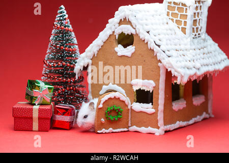 Cute Hamster in der Nähe seiner cookie Haus gefunden Geschenke Weihnachten Baum Stockfoto