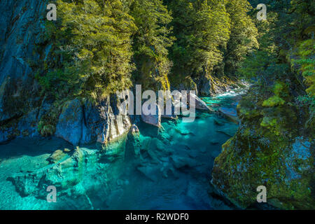Berühmte turist Anziehung - Blue Pools, Haast Pass, Neuseeland, Südinsel Stockfoto