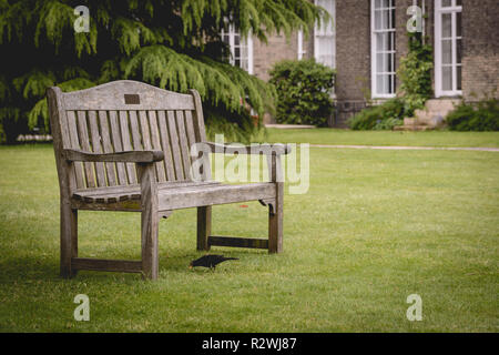 Cambridge, UK - Februar, 2019. Leere Bänke im Garten des Downing College, ein konstituierendes College der Universität Cambridge. Stockfoto