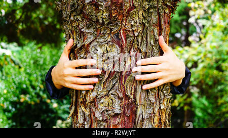 Nahaufnahme von einem Baum im Wald. Junge Frau umarmt den Baum. Stockfoto