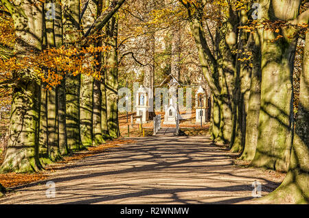 Valkenburg, Niederlande, 18. November 2018:, von Bäumen gesäumten Straße an einem sonnigen Tag im Herbst, die zu einer Gruppe von Baum römisch-katholischen Statuen symbolisiert t Stockfoto