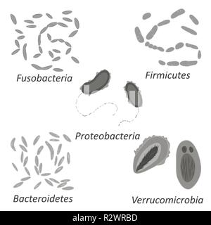 Einstellen der verschiedenen Arten von Bakterien der menschlichen Mikrobioms, schwarze und weiße Vector Illustration Stock Vektor