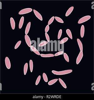 Gruppe von Fusobacteriales auf schwarzem Hintergrund, Vector Illustration Stock Vektor