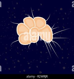 Vector Illustration von einzellige Eukaryonten Xenophyophorea, Protozoen Stock Vektor