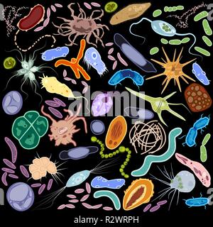 Unterschiedliche einzellige Eukaryonten Protozoas und prokaryote bacterias, Vector Illustration Stock Vektor