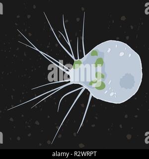 Vector Illustration von einzellige Eukaryonten Cercozoa, Protozoen Stock Vektor