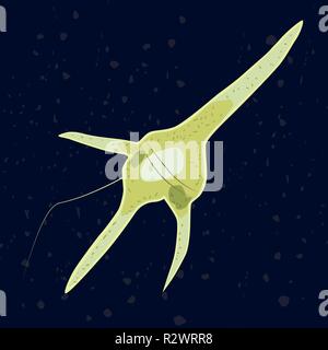 Vector Illustration von einzellige Eukaryonten Dinophyta, Protozoen Stock Vektor