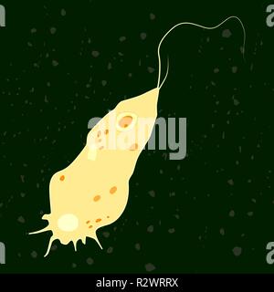 Vector Illustration von einzellige Eukaryonten Mycetozoa, Protozoen Stock Vektor