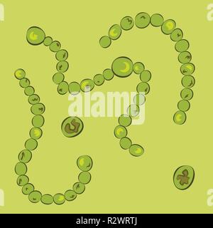 Gruppe von Cyanobakterien auf grünem Hintergrund, Vector Illustration Stock Vektor
