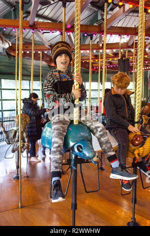 9 Jahre alter Junge, der Bug Karussell im Bronx Zoo, New York, Vereinigte Staaten von Amerika. Stockfoto