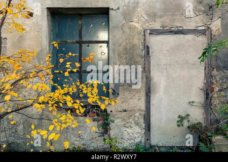 Verlassenen Lagerhalle Eingang auf Beton Wand, Fassade mit Fenster und Baum Stockfoto