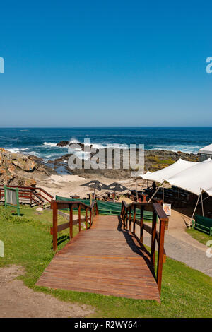 Tsitsikamma Nationalpark, Western Cape, Eastern Cape, Südafrika Stockfoto