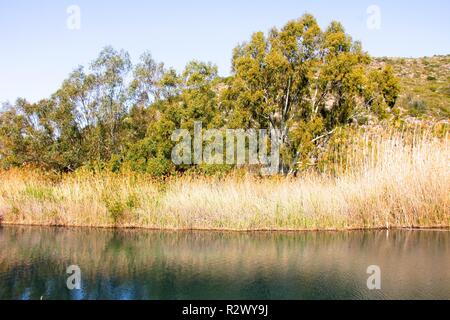 Ruhigen Fluss im Herbst, im Feuchtgebiet Marjal Pego-Oliva Naturpark Stockfoto