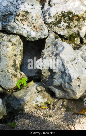 Leeres Loch zwischen einigen grossen Felsen Tier Versteck Stockfoto