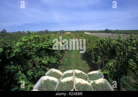 Niederösterreich, Weinviertel, Gebäude Stockfoto