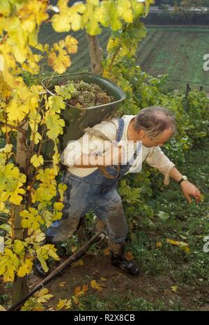 Niederösterreich, Weinviertel, Gebäude Stockfoto