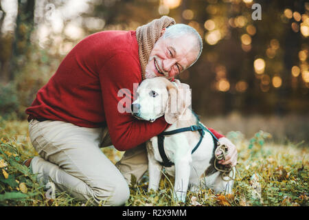 Ein älterer Mann mit einem Hund in einem Herbst Natur bei Sonnenuntergang. Stockfoto