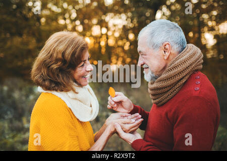 Ein älteres Ehepaar stand in einem Herbst Natur bei Sonnenuntergang, bei jeder anderen suchen. Stockfoto