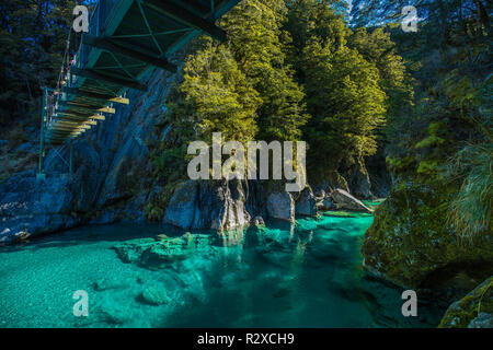 Berühmte turist Anziehung - Blue Pools, Haast Pass, Neuseeland, Südinsel Stockfoto