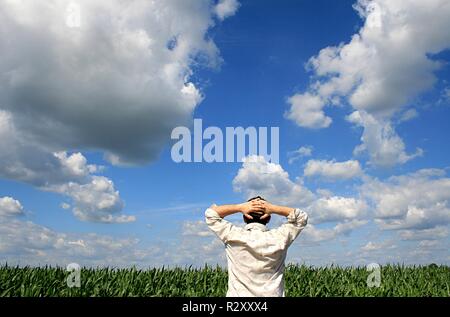 Sommer Stockfoto