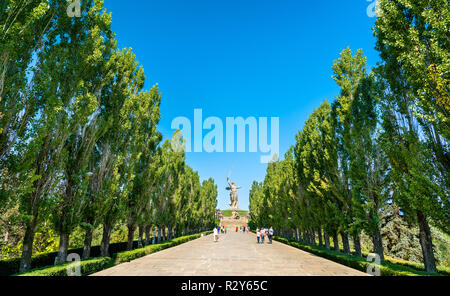 Pappel Allee in Richtung Heimat Anrufe Statue auf Mamayev Kurgan in Wolgograd, Russland Stockfoto