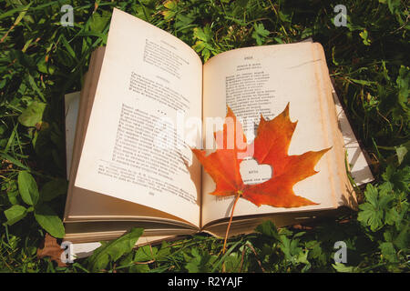 Buch mit einem Maple Leaf in Form von einem Herz liegt im Gras. Stockfoto
