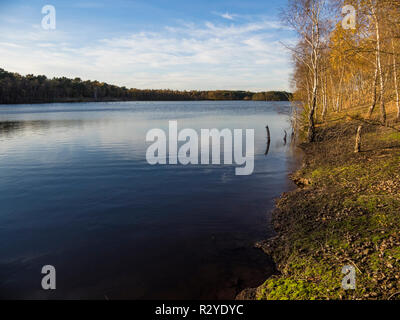 Farben des Herbstes in Norfolk Stockfoto
