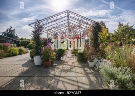 Appeltern, Niederlande, 29. September 2017: Gigantische metall Pavillon, voll von schönen Blumen und Pflanzen im Herbst Farben Stockfoto