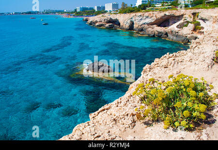 Blick auf Agia Napa. Yellow Stone Klippen in der Nähe von transparent glasklar unglaublich blauen Wasser und Kalkstein Strand mit gelben Blumen. Warme wolkenlosen Summe Stockfoto