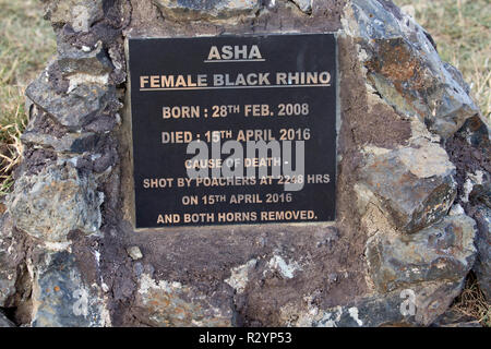 Gedenktafel pochierte weiblichen Spitzmaulnashörner Asha, gedreht 2016 und die beiden Hörner entfernt, Ol Pejeta Conservancy, Kenia Stockfoto