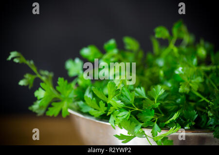 Frische grüne Petersilie isoliert auf dem schwarzen Hintergrund. Stockfoto