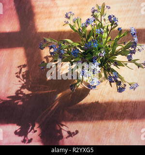 Bouquet von frischen Vergissmeinnicht (Myosotis Arvensis) Stockfoto