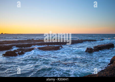 Sunset Bay State Park lebt bis zu seinem Namen wie die untergehende Sonne wirft einen sanften Lichtschein über Ebbe. Stockfoto