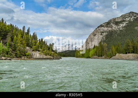 BANFF, AB, Kanada - Juni 2018: Querformat des Bow River, der fließt durch Banff. Stockfoto